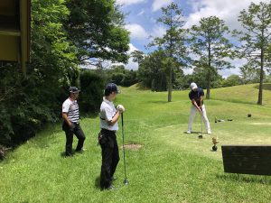なんと5日間で-17！